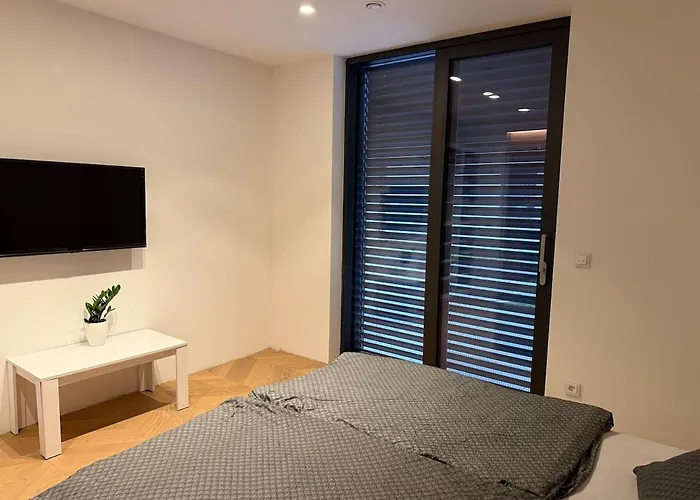 Smart & Wellness Vila Ptuj